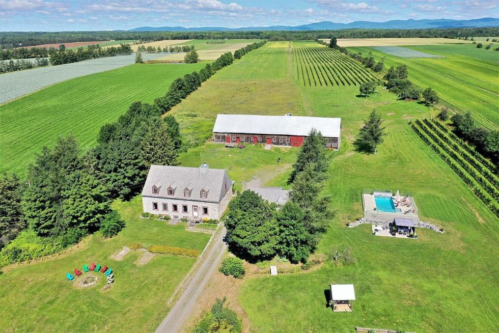 \u200bTerrain du vignoble \u00e0 vendre sur l'\u00eele d'Orl\u00e9ans.