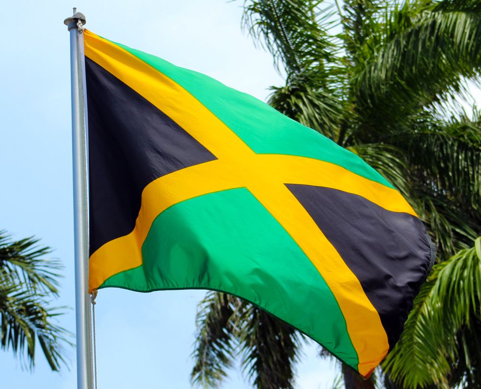 \u200bThe flag of Jamaica.