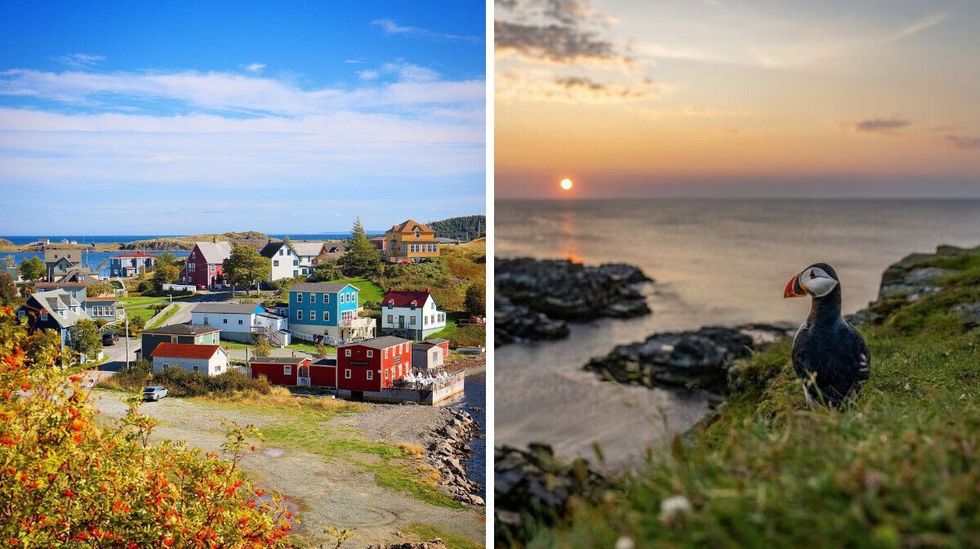 \u200bTrinity, Newfoundland. Right: A puffin in Newfoundland.