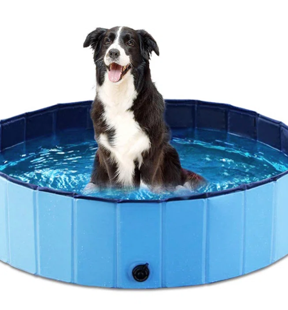 \u200bUne piscine pour animaux.