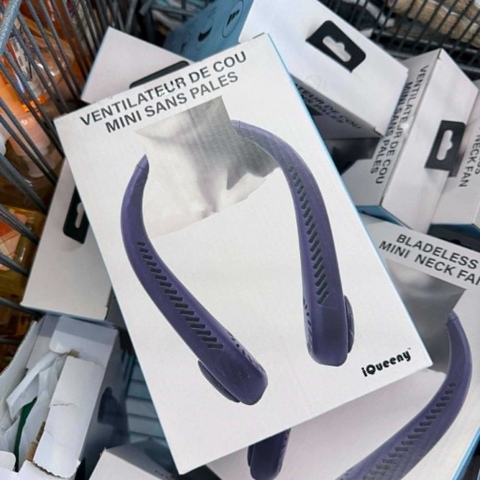 \u200bVentilateur de cou en vente au Tigre G\u00e9ant pour 10 $.