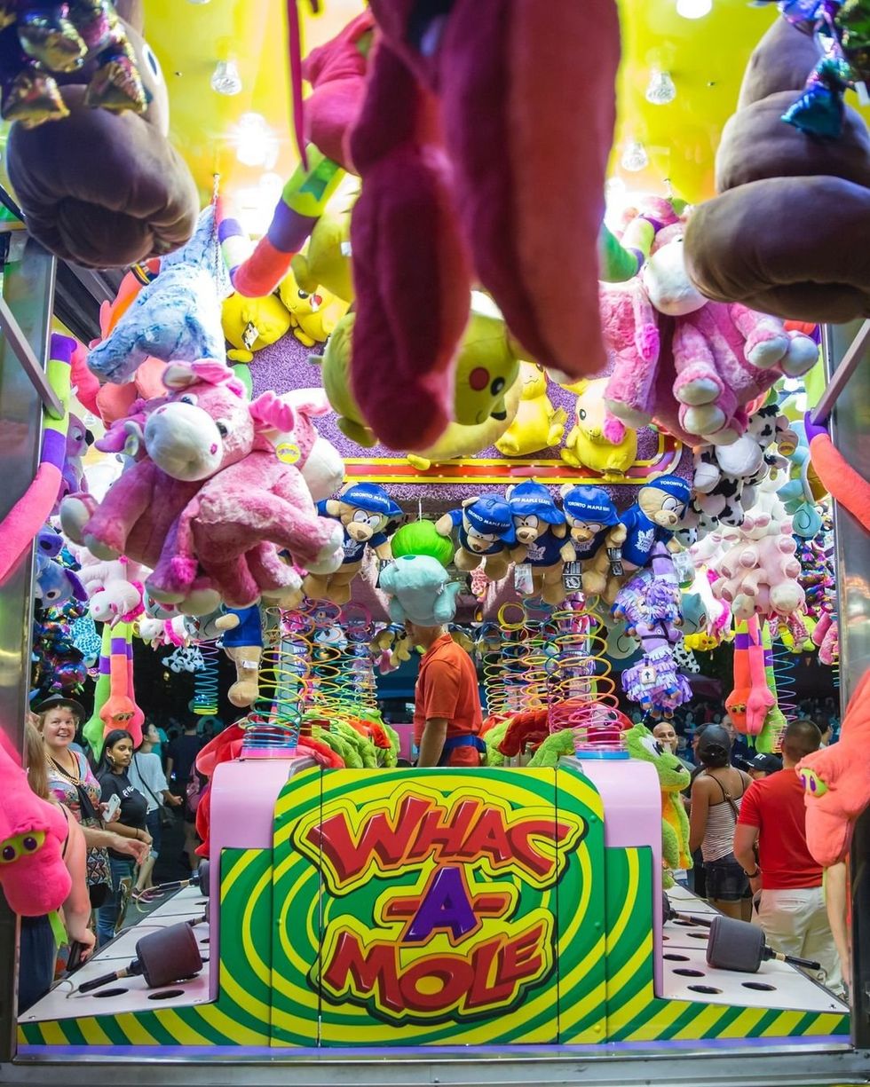 \u200bWhac-A-Mole at the CNE.