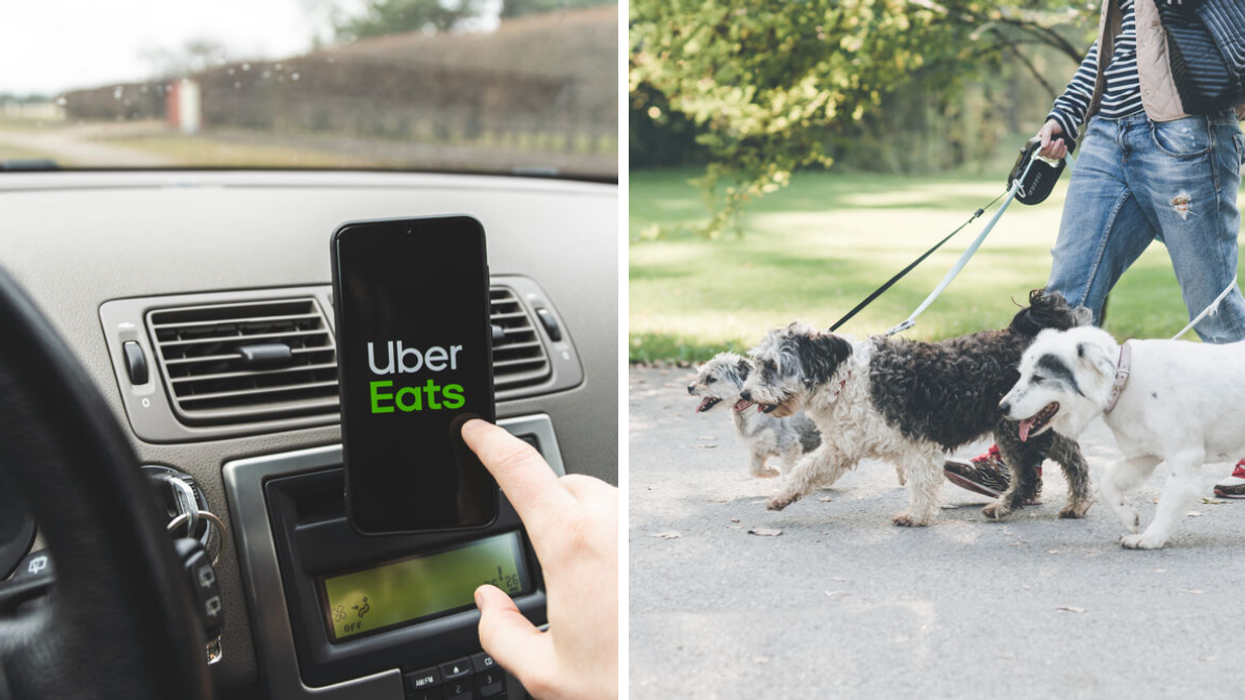 Uber eats. Droite : Une promenade de chiens.