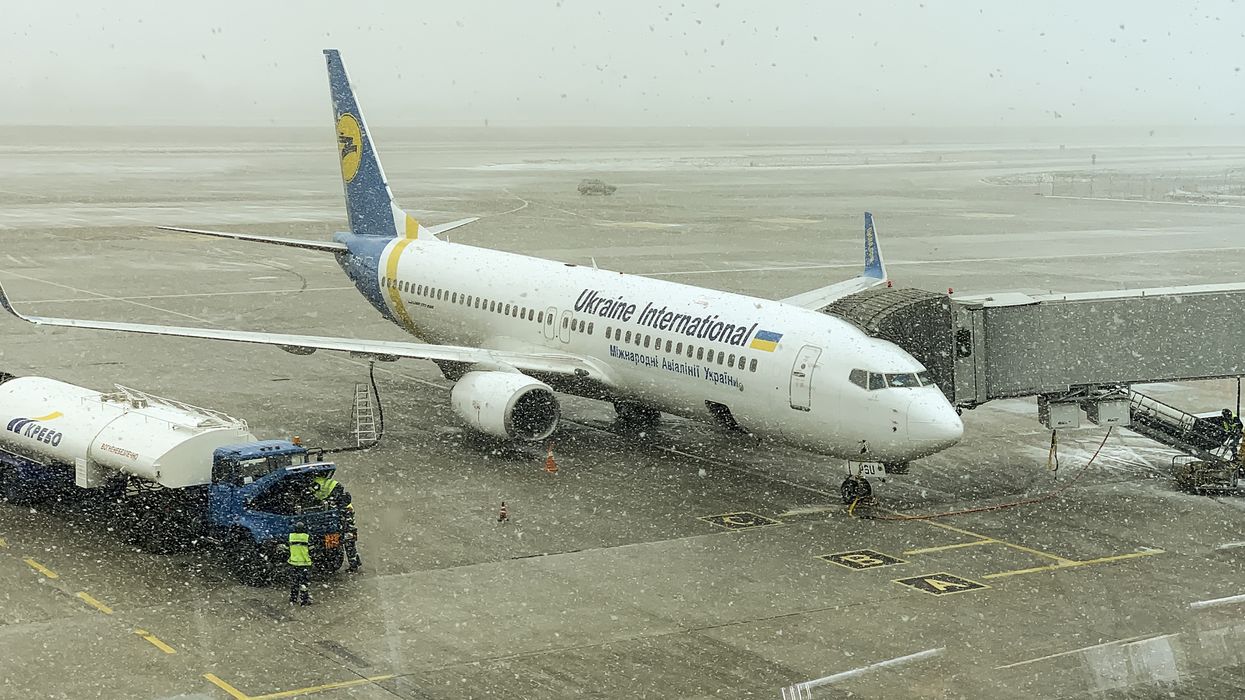 Ukraine International Airlines Flight Arrives In Toronto With Dozens Of Dead Puppies On Board