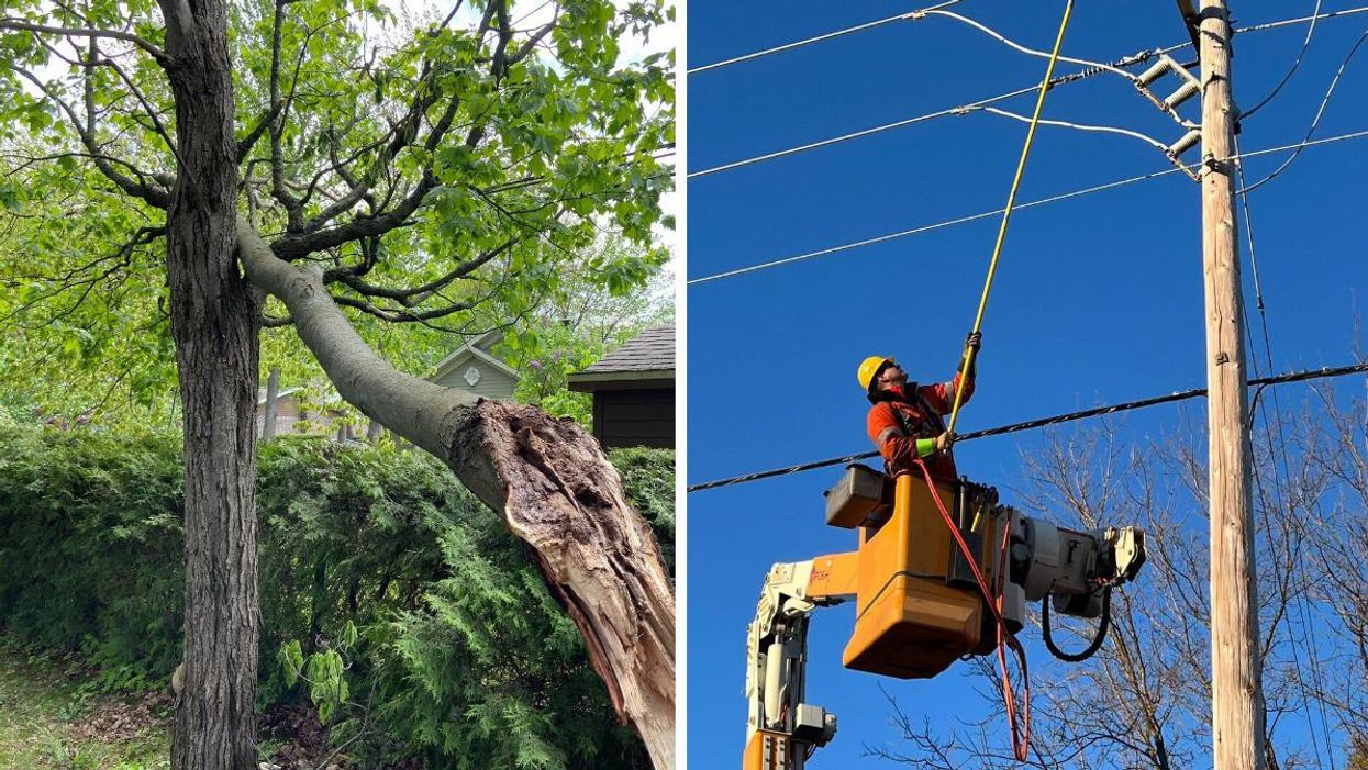 Un arbre partiellement tombé au Québec, orages mai 2022. Droite : Travailleur d'Hydro-Québec en hauteur en train d'effectuer des travaux sur une ligne.