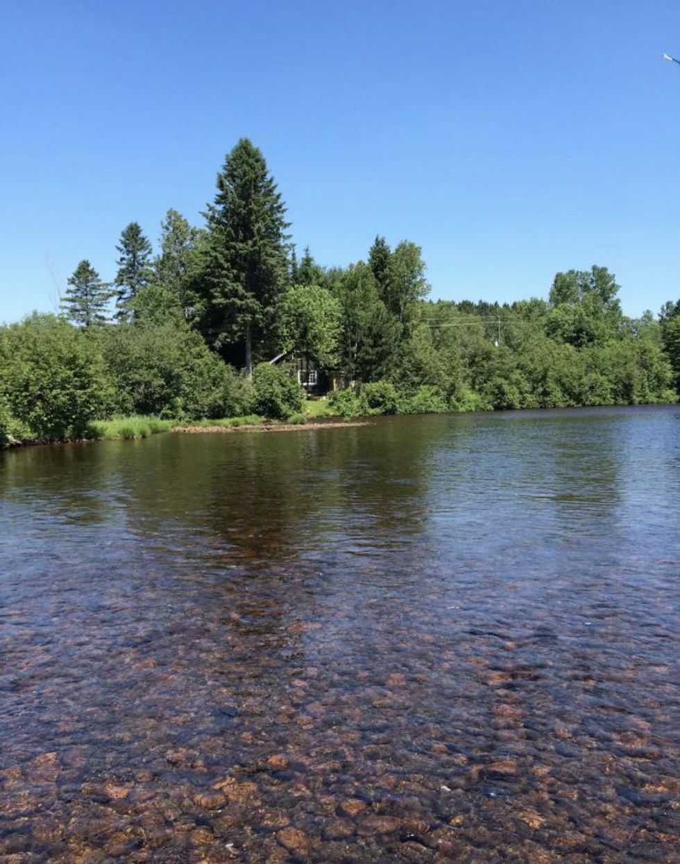 Un chalet au Mont-Tremblant cach\u00e9 par des arbres derri\u00e8re un cours d'eau.