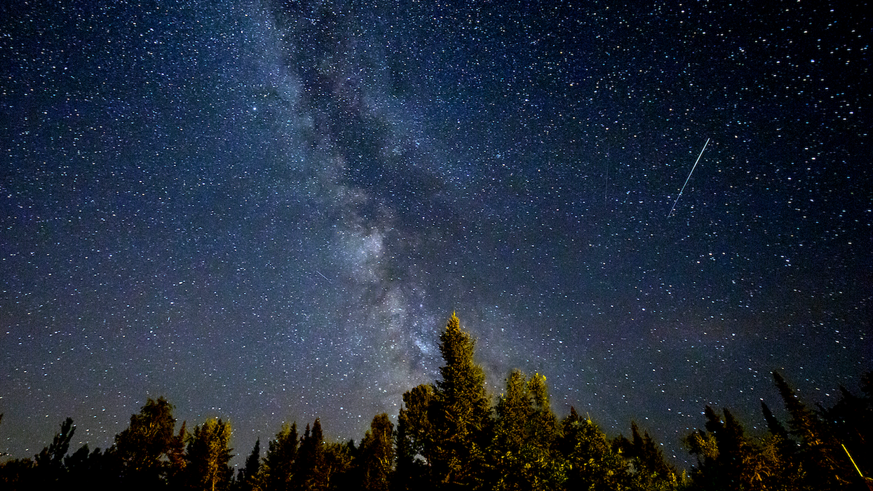 Un ciel étoilé avec une étoile filante et des sapins.