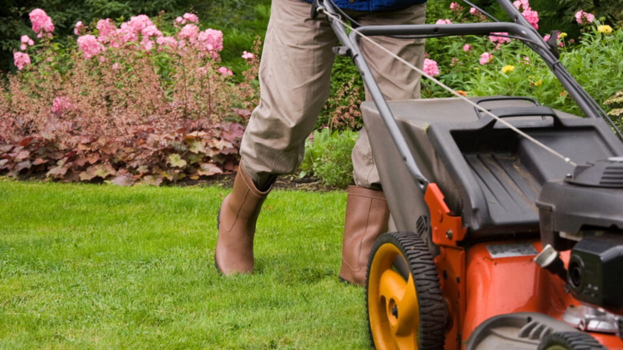 Un citoyen en train de tondre sa pelouse.