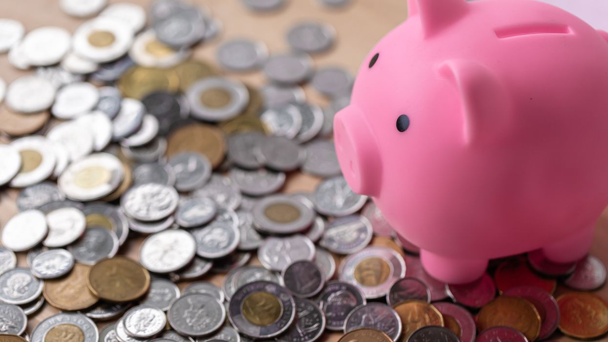 Un cochon et de la monnaie canadienne.