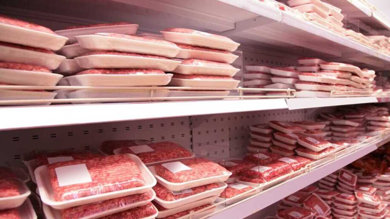 Un comptoir de viande hachée dans une épicerie.