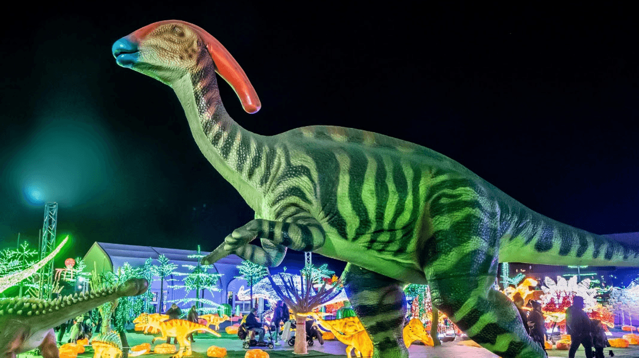 Un dinosaure dans un parcours illuminé.