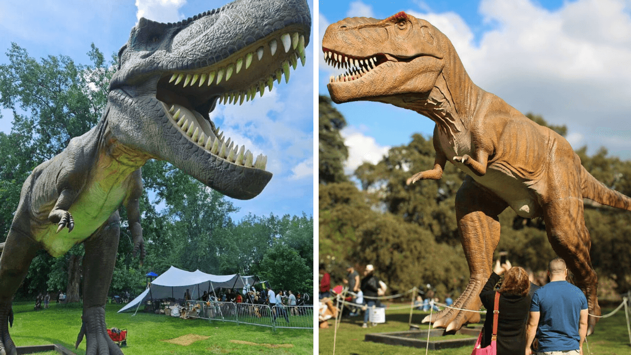 Un dinosaure de Jurassic Kingdom. Droite : Des personnes devant un dinosaure de Jurassic Kingdom.