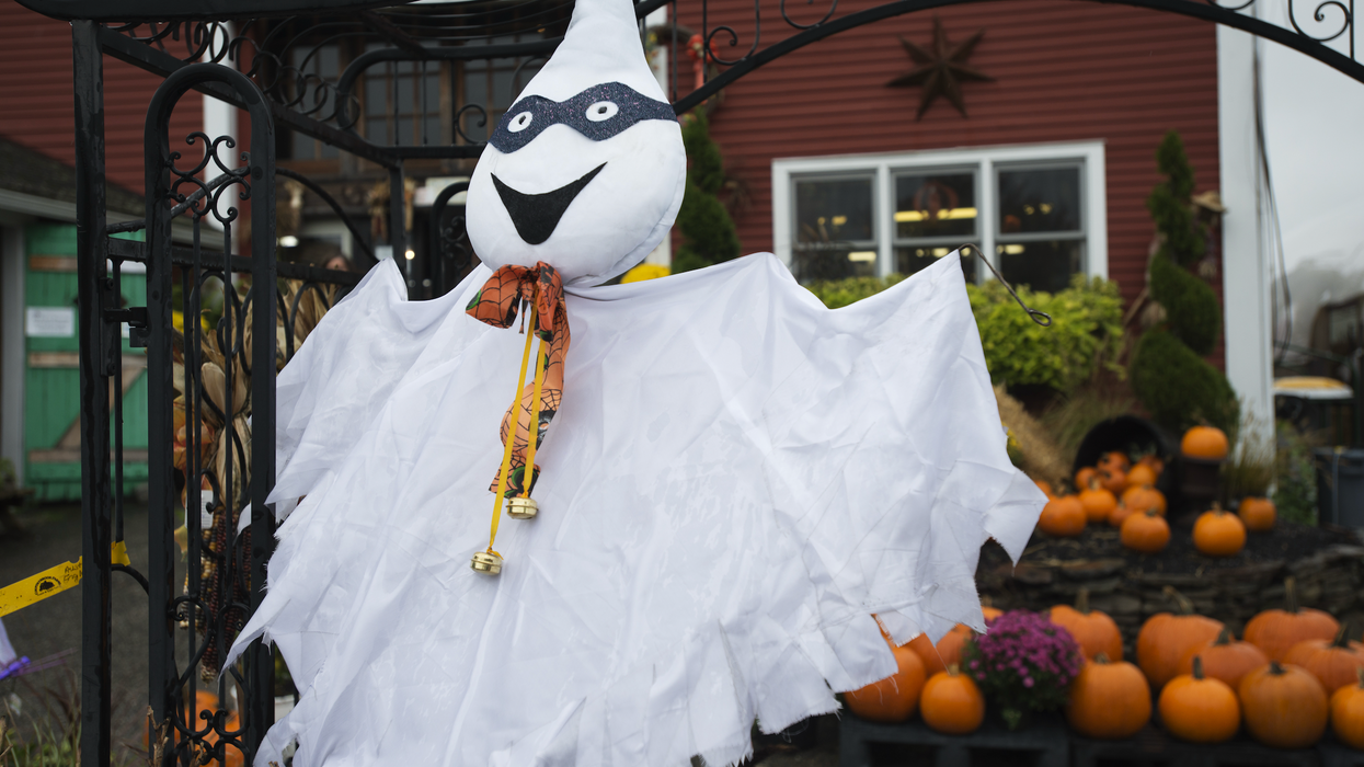 Un fantôme devant des étals de citrouilles.