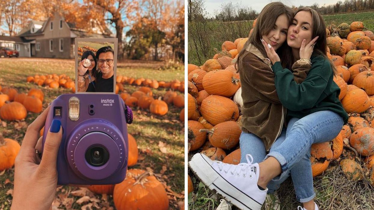 Un festival de citrouilles débarque à 2 h de Montréal et ça commence très bientôt