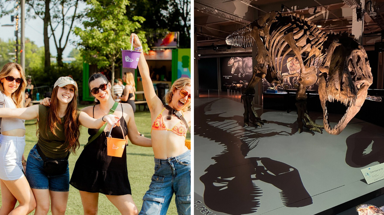 Un groupe au Piknic Electronique. Droite : Un squelette de dinosaure.