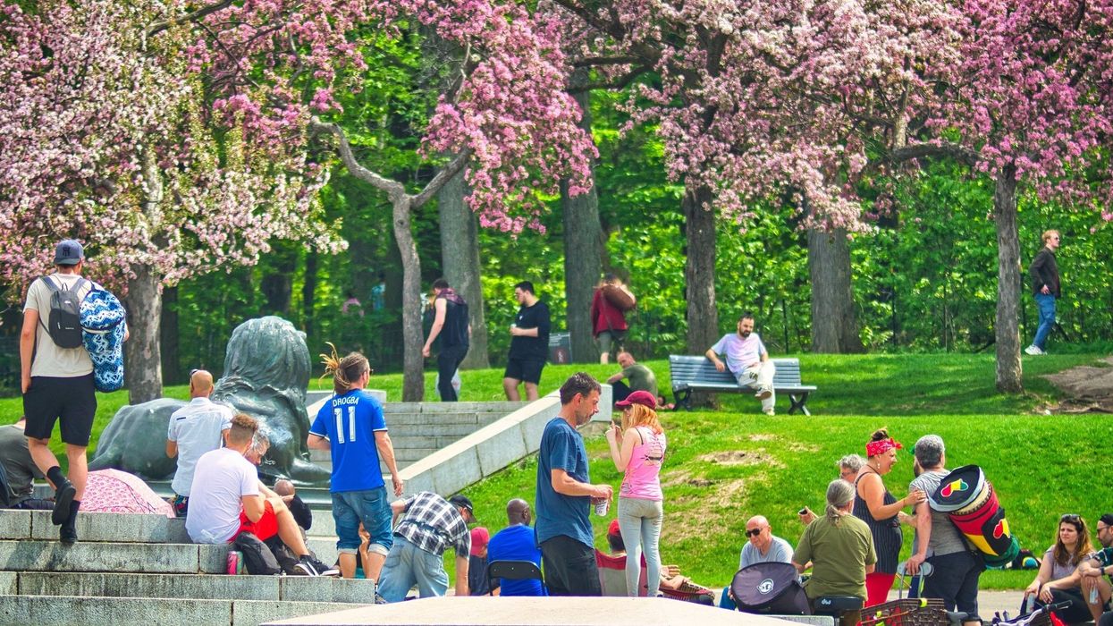 Un groupe de personnes dans un parc à Montréal au printemps.