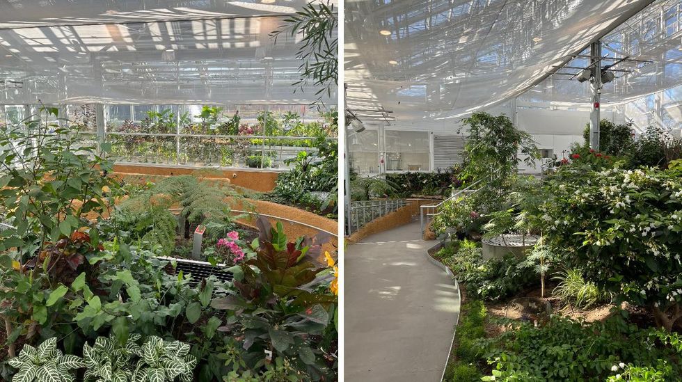 Un jardin d'observation dans l'Insectarium de Montr\u00e9al.