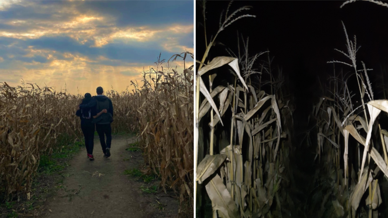 Un labyrinthe de nuit à Sainte-Anne-des-Plaines tout le mois d'octobre
