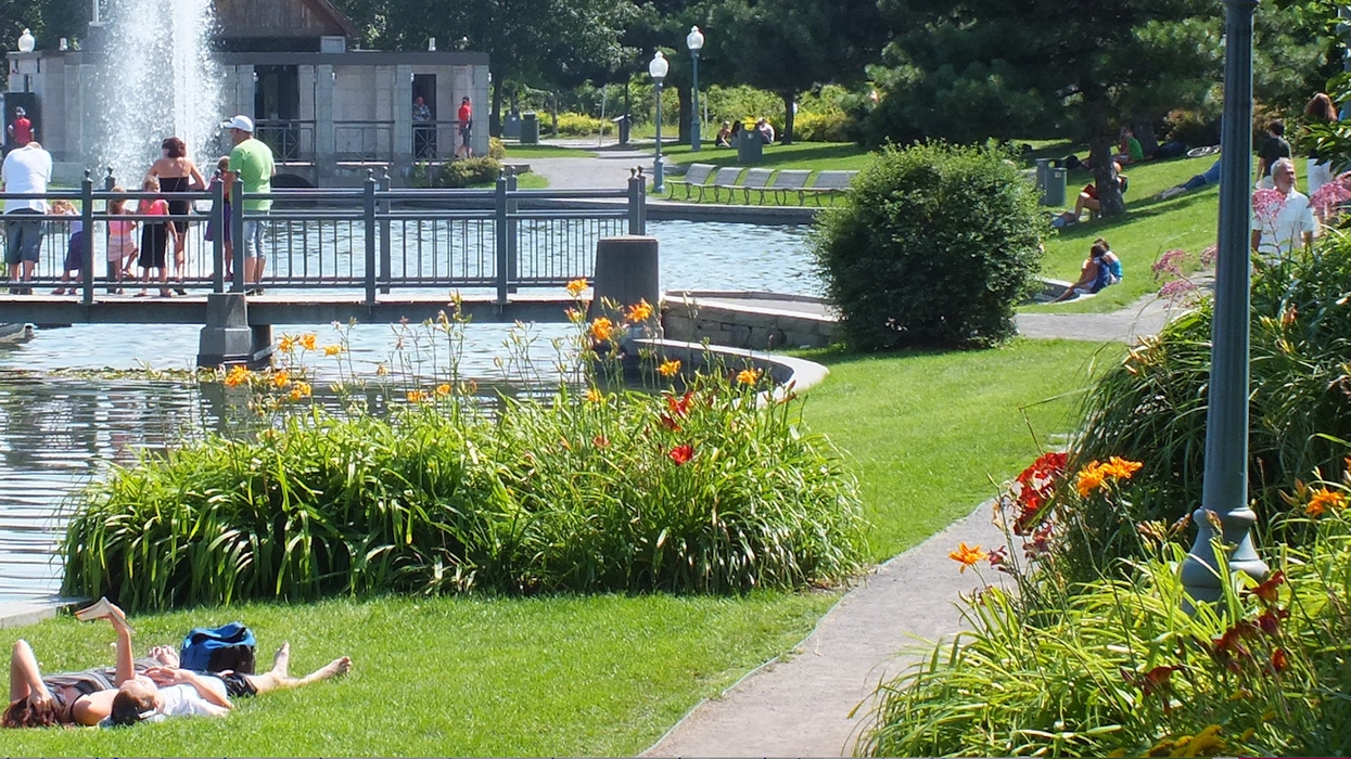 Un parc à Montréal.