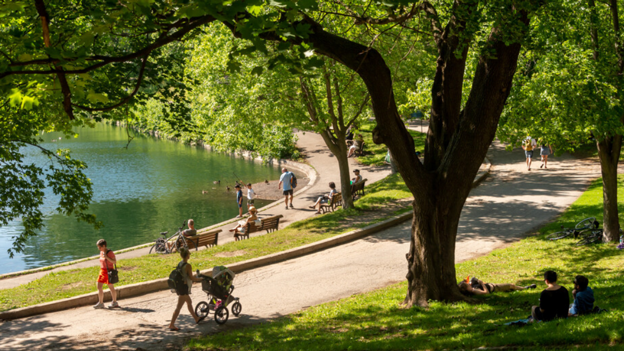 Un parc à Montréal.