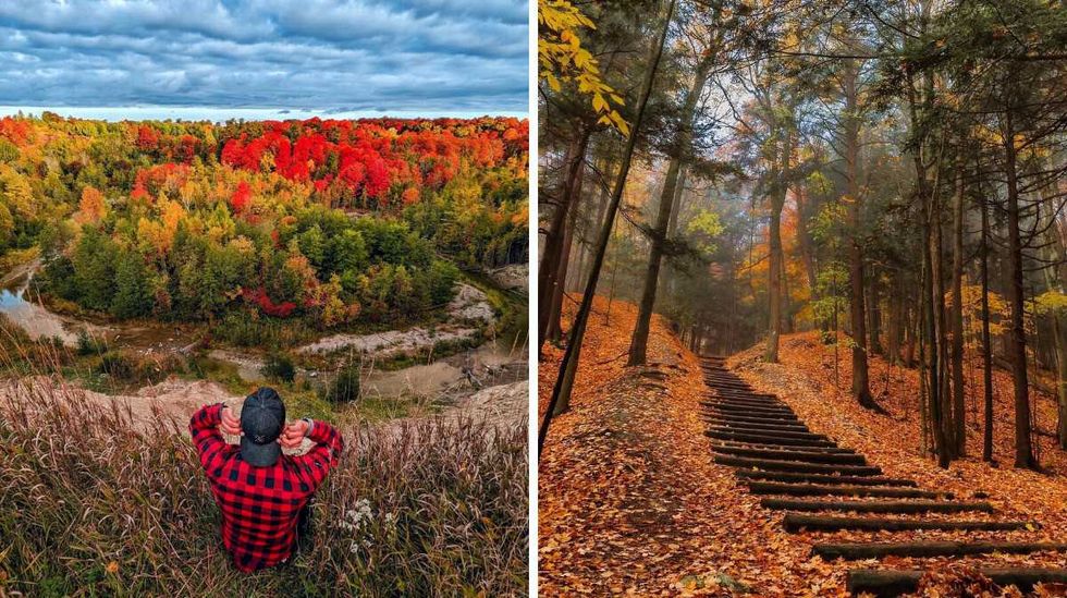 Un parc national l'automne. 