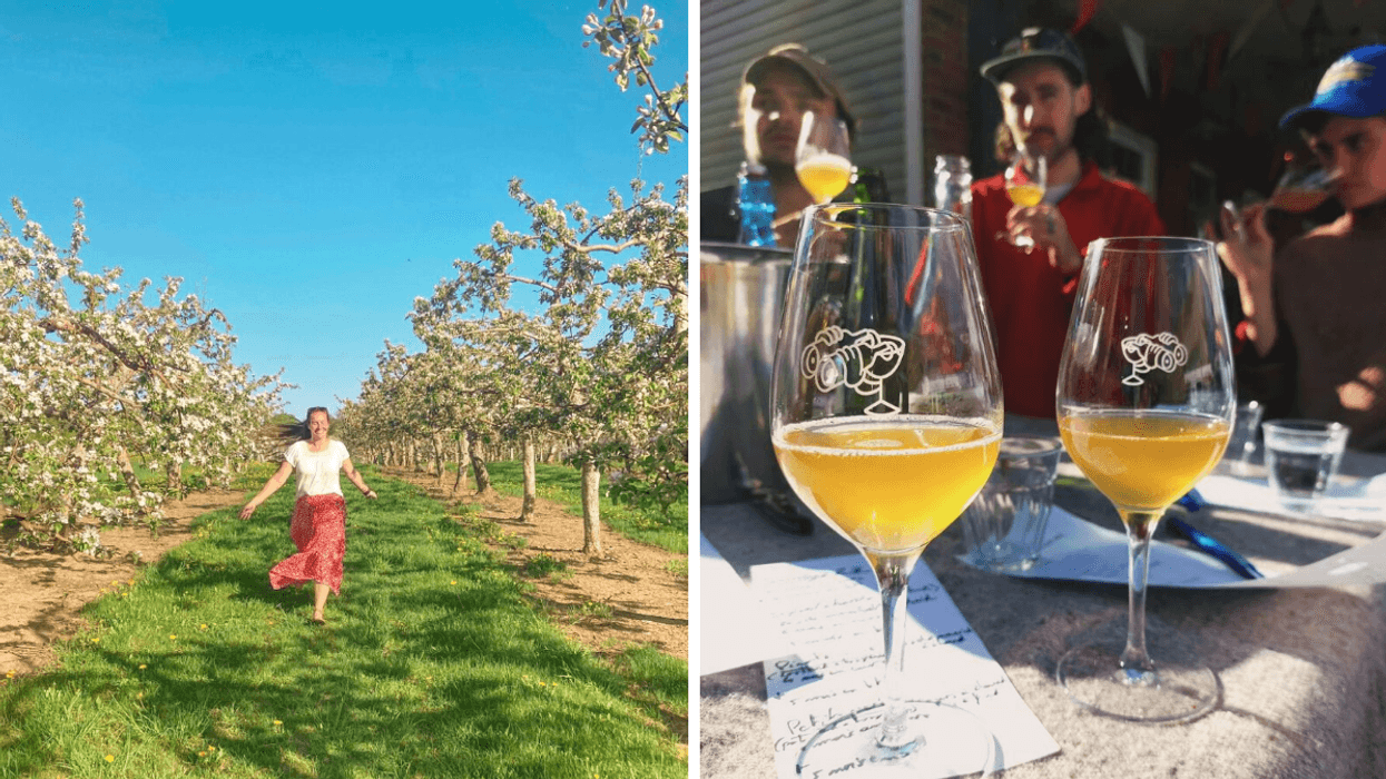 Un personne dans un verger en fleur. Droite : Une dégustation de vin.