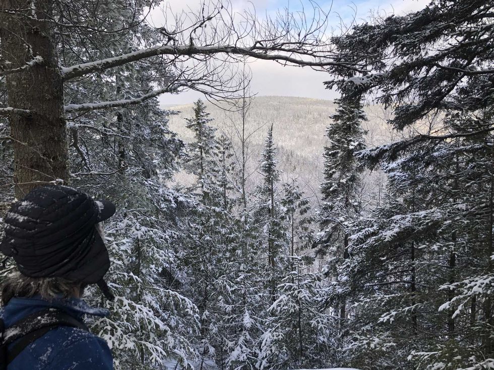 Un\u00b7e randonneur\u00b7euse contemple le paysage \u00e0 travers des pins couverts de neige.
