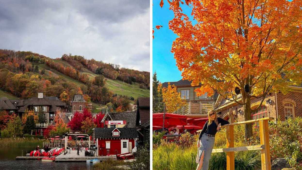 Un village au bord de l'eau. Droite : Une personne devant un arbre coloré.