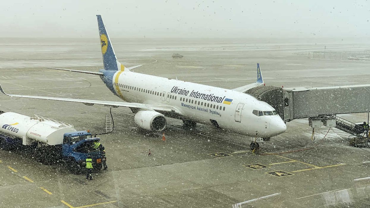 Un vol d'Ukrainian International Airlines arrive à YYZ avec des dizaines de chiots morts à bord