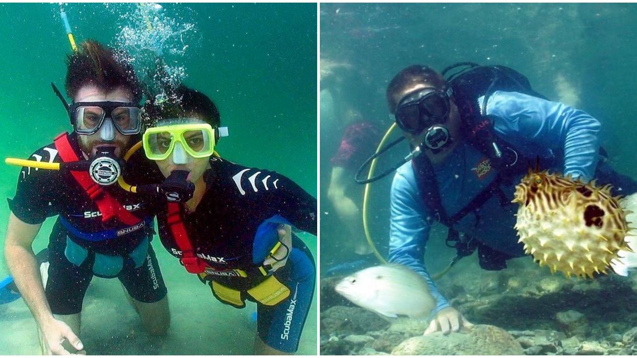 Underwater Florida Tour SNUBA Let's You Walk On The Ocean Floor
