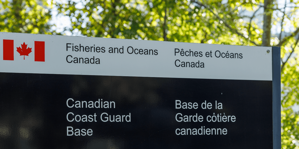 La Garde côtière offre une formation payée avec un sec. 5 : 800 $/mois, logé, nourri