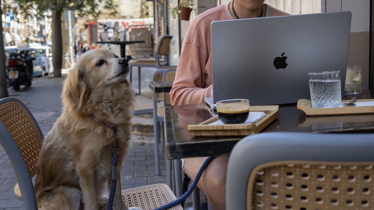 Une chien et sa maitresse sur une terrasse.