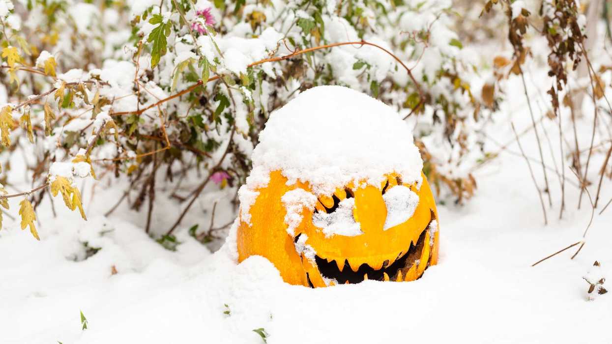 Une citrouille d'Halloween sous la neige.