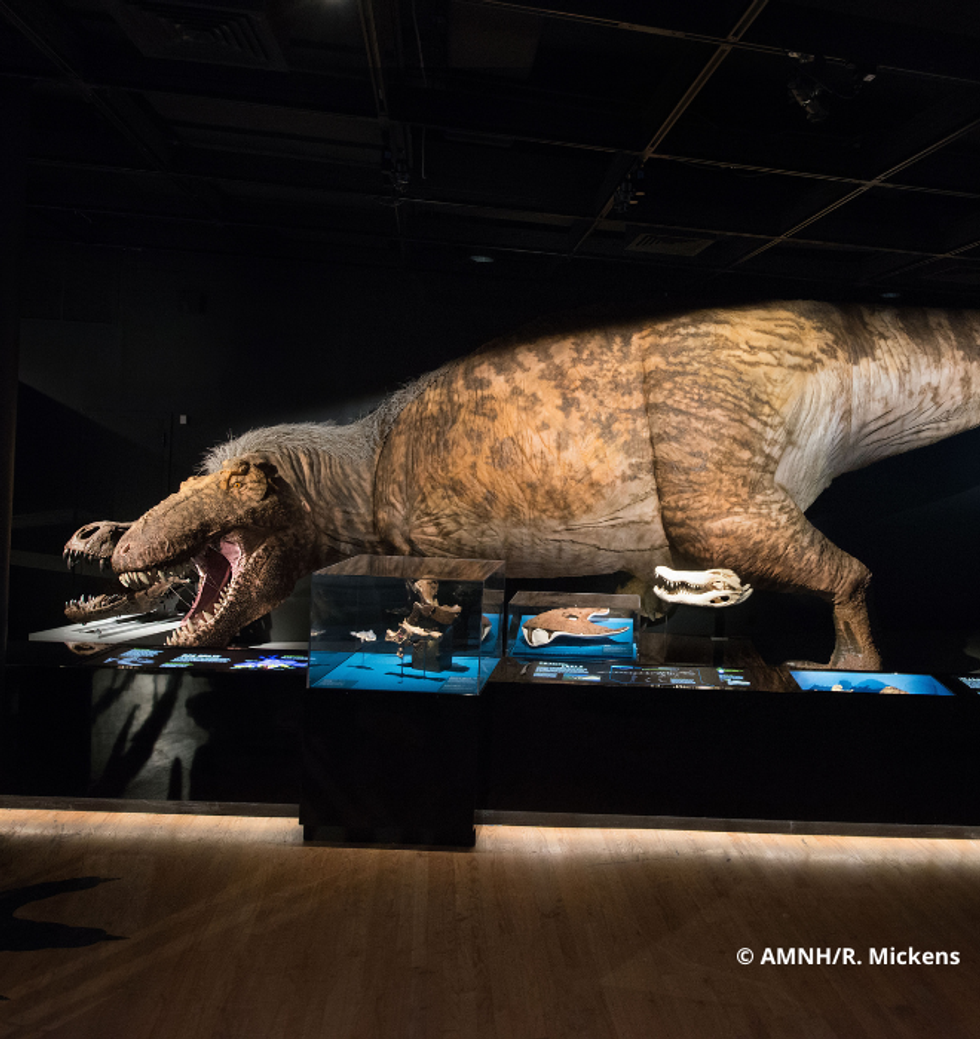 Une exposition de dinosaures.