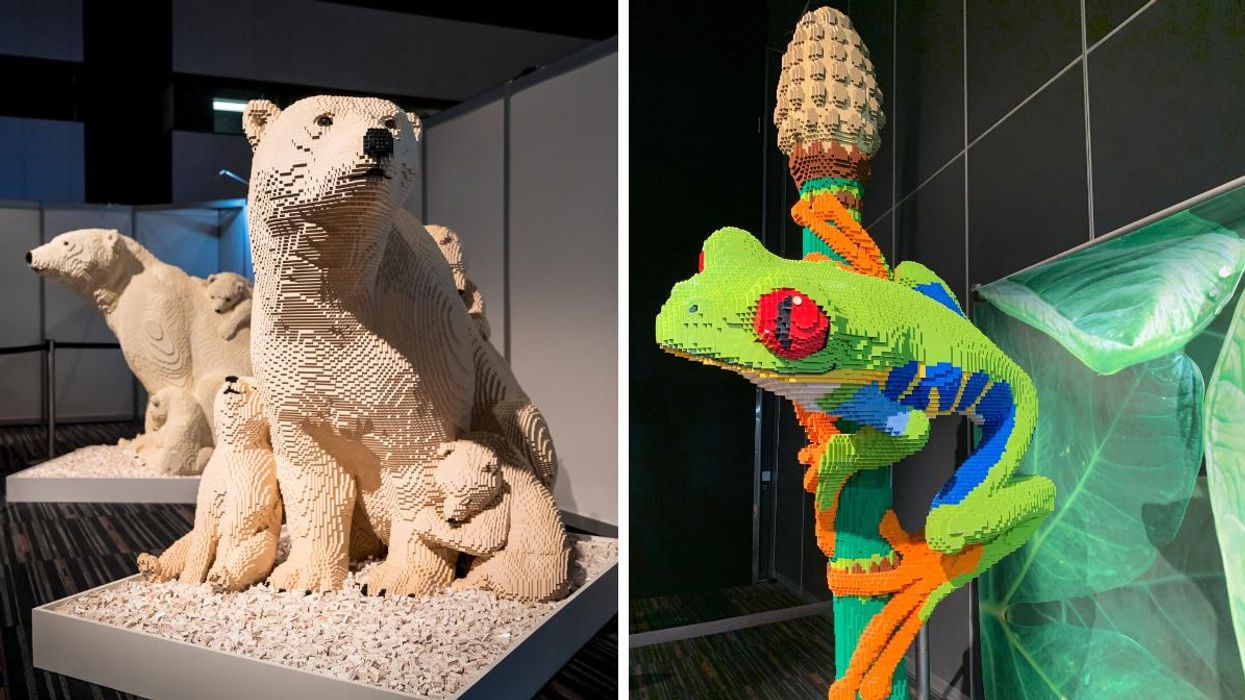 Une exposition géante de 2 millions de LEGO débarque à Québec ce mois-ci