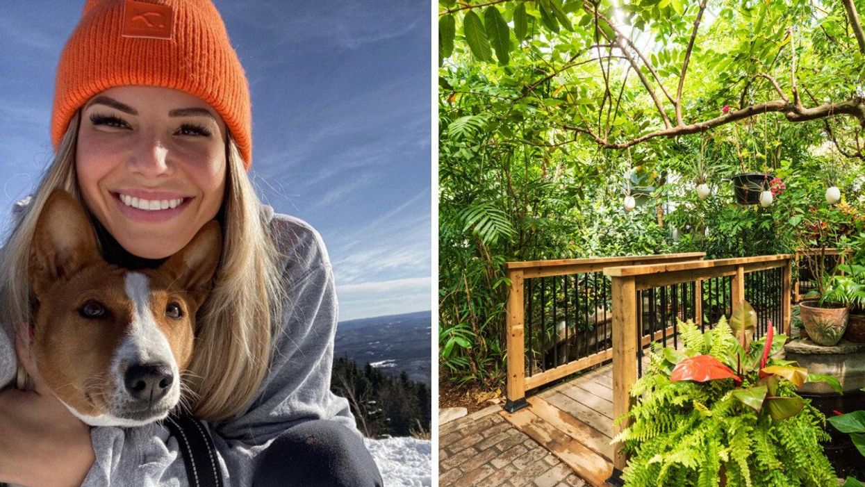 Une femme avec son chien, souriante, sur le top d'une montagne. Droite : une serre tropicale.