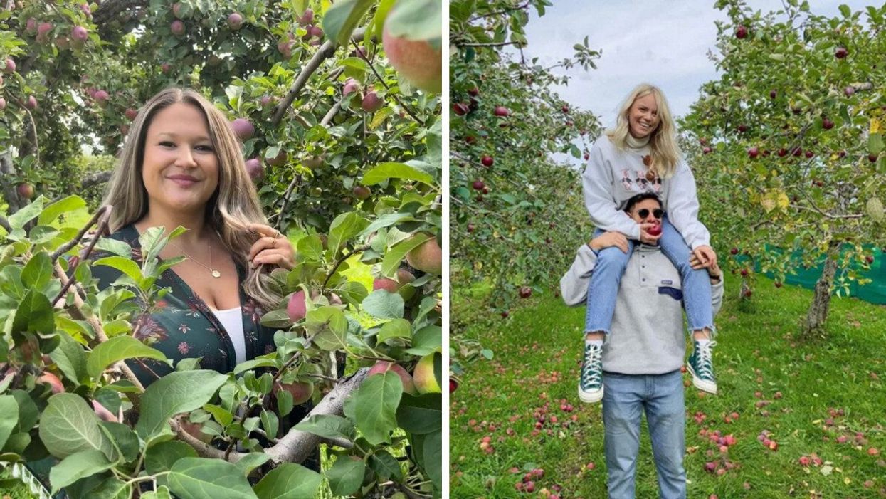 Une femme dans les pommiers du Domaine Lafrance. Droite : Un duo cueille des pommes au Verger Labonté.