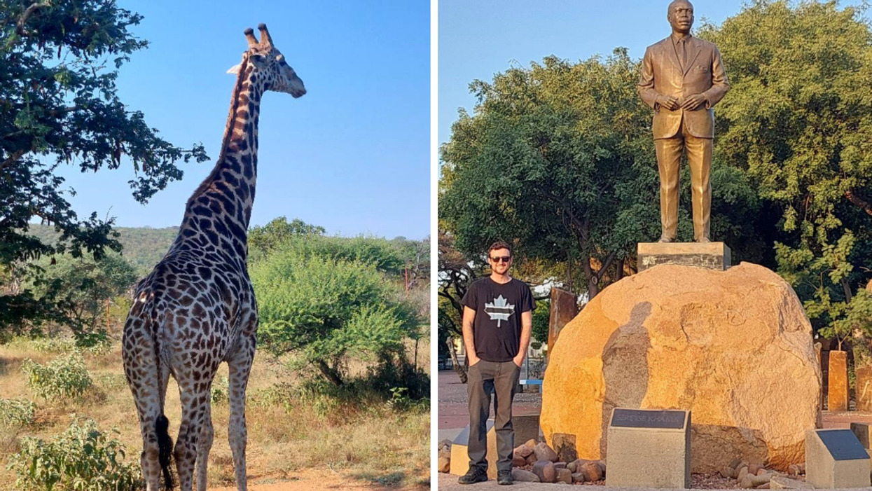 Une girafe. Droite : Statue de Sir Seretse Khama, ancien président du Botswana.