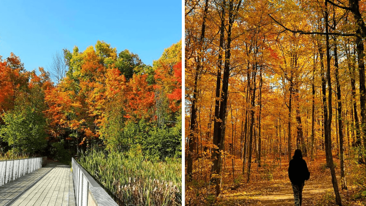 Une longue passerelle dans un parc de Montréal. Droite : Une personne sur un sentier de randonnée de Montréal, l'automne.