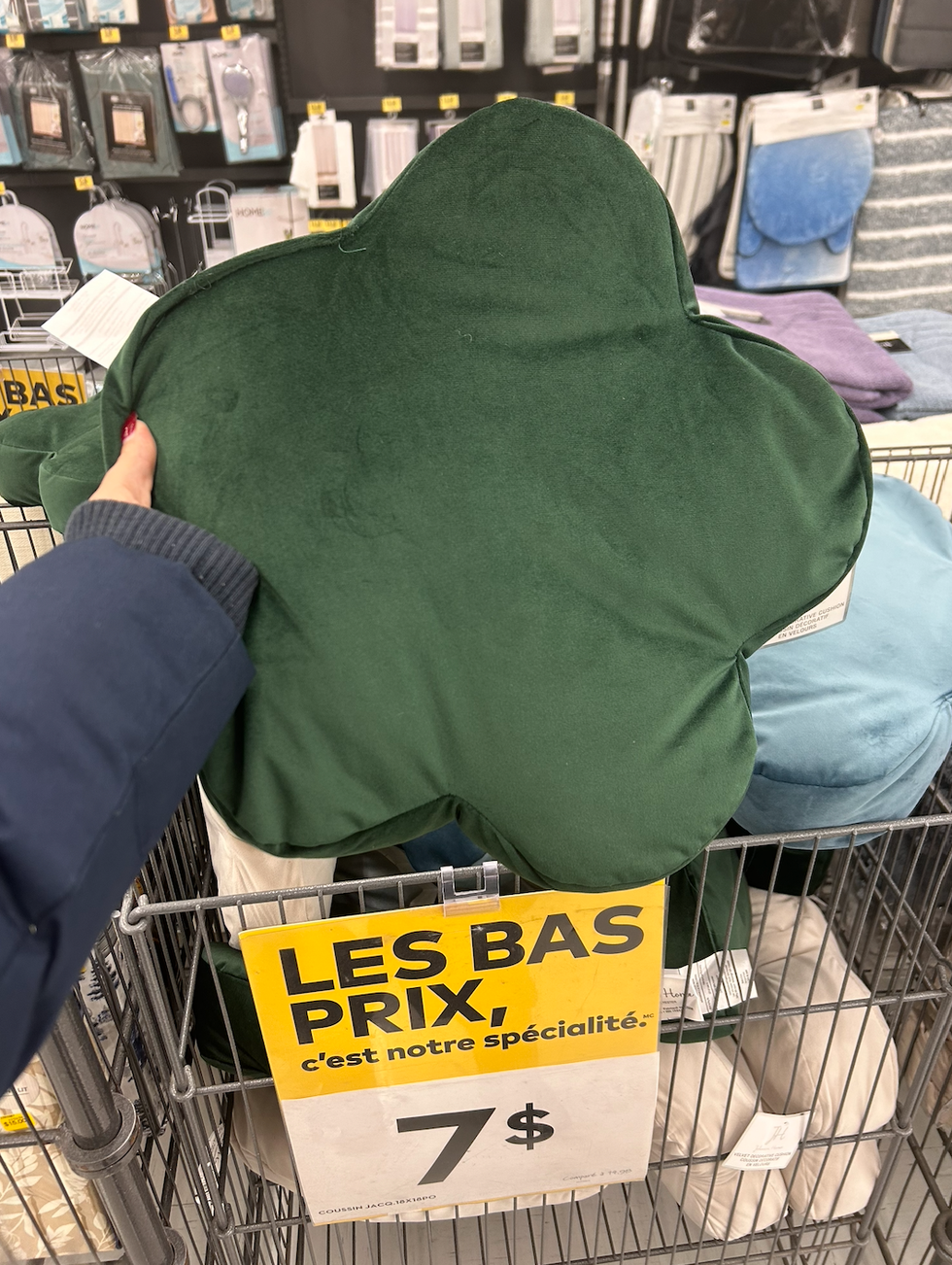 Une main tenant un coussin d\u00e9coratif vert en forme de fleur dans un Tigre G\u00e9ant.