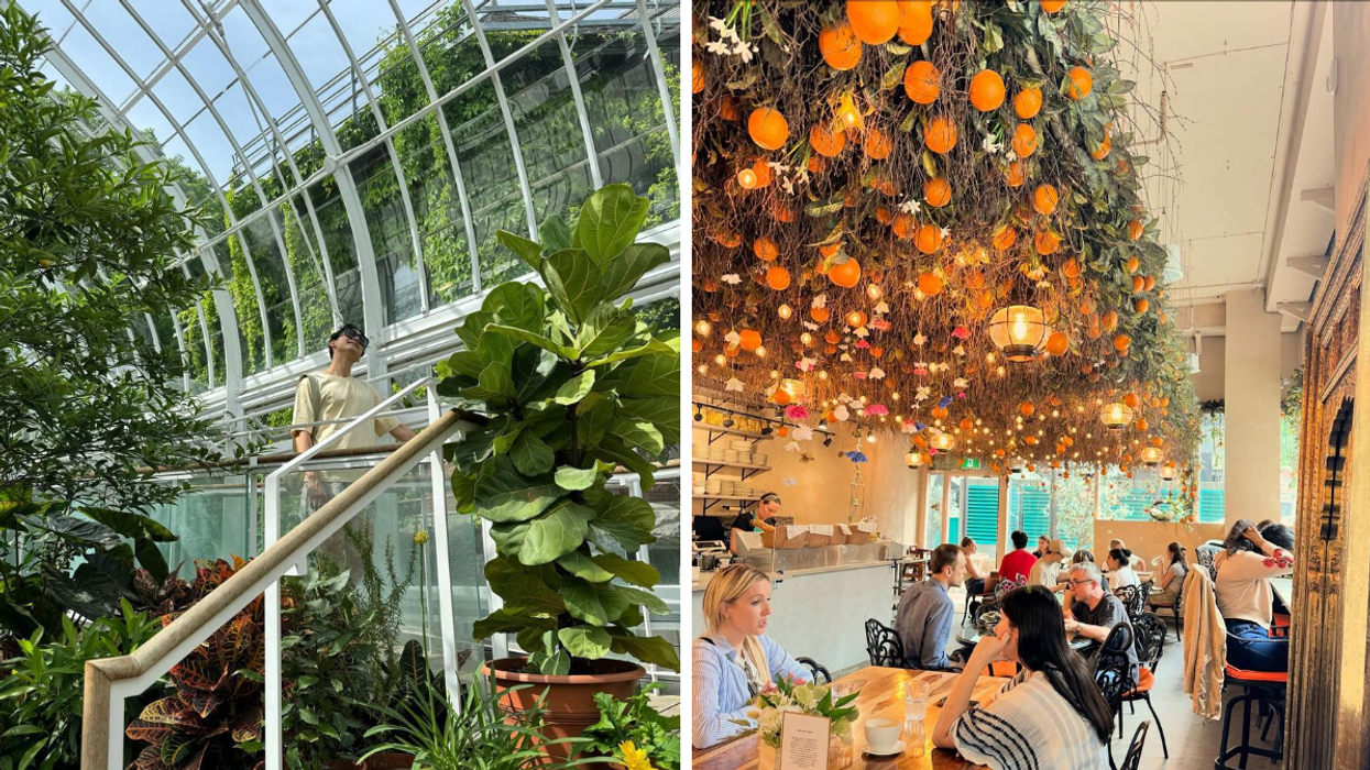Une personne au Conservatoire horticole de Westmount. Droite : Le SoLIT Café où des oranges décorent le plafond.