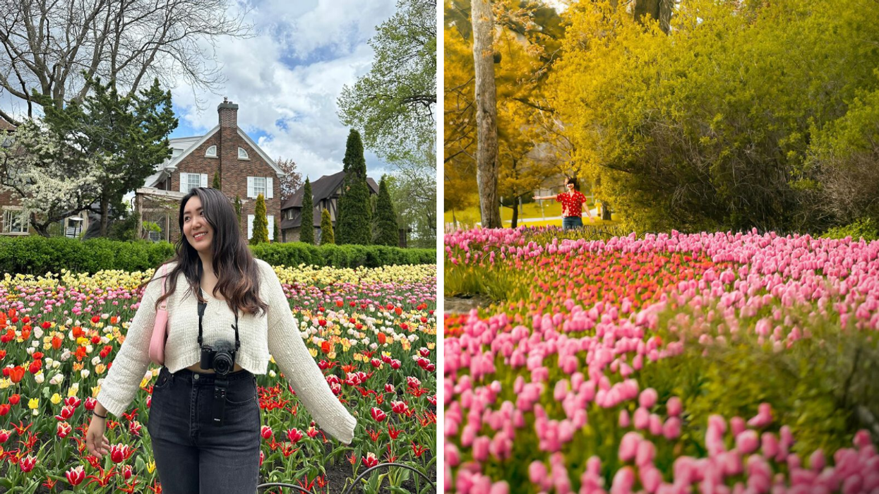 Une personne devant les tulipes. Droite : Le Festival des Tulipes d’Ottawa.
