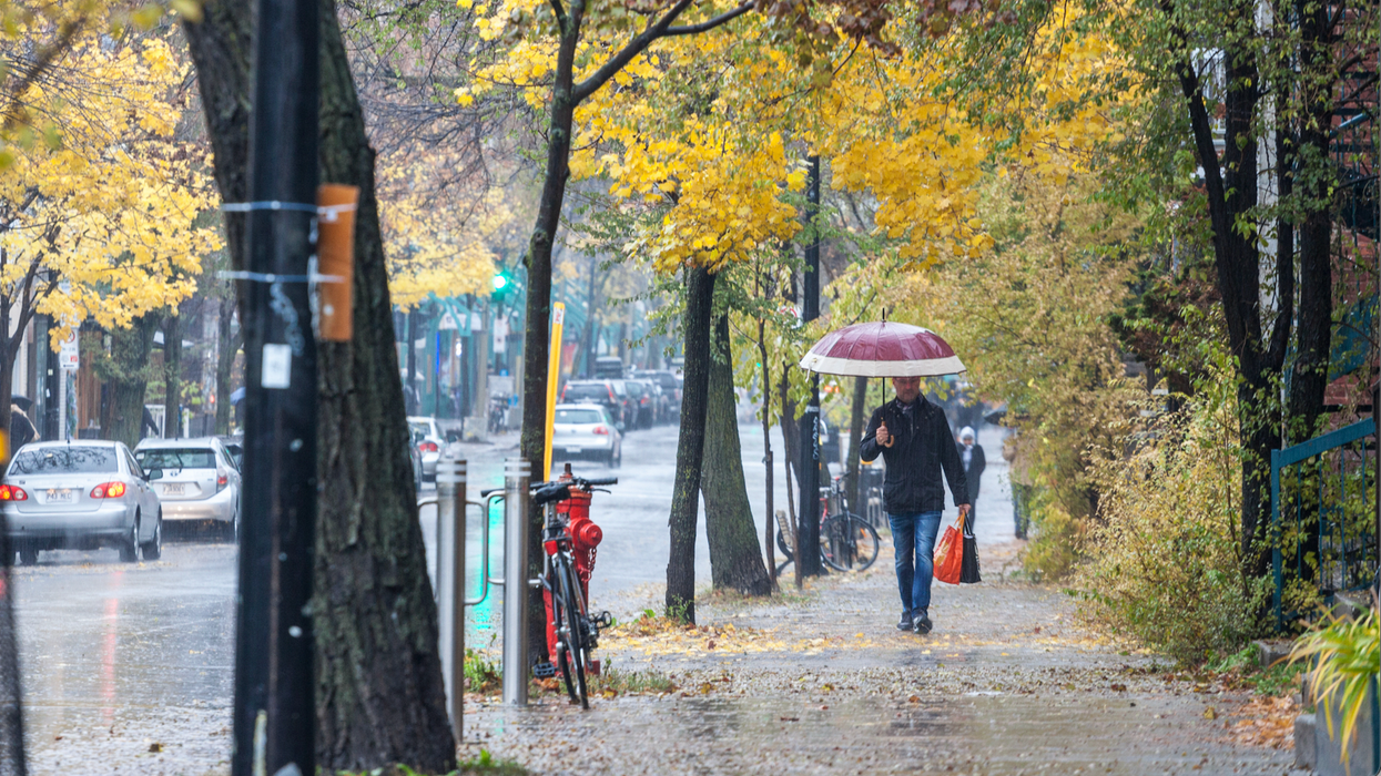 Une personne marche avec son parapluie sur un trottoir à Montréal, entouré d'arbres avec des feuilles jaunes et vertes.