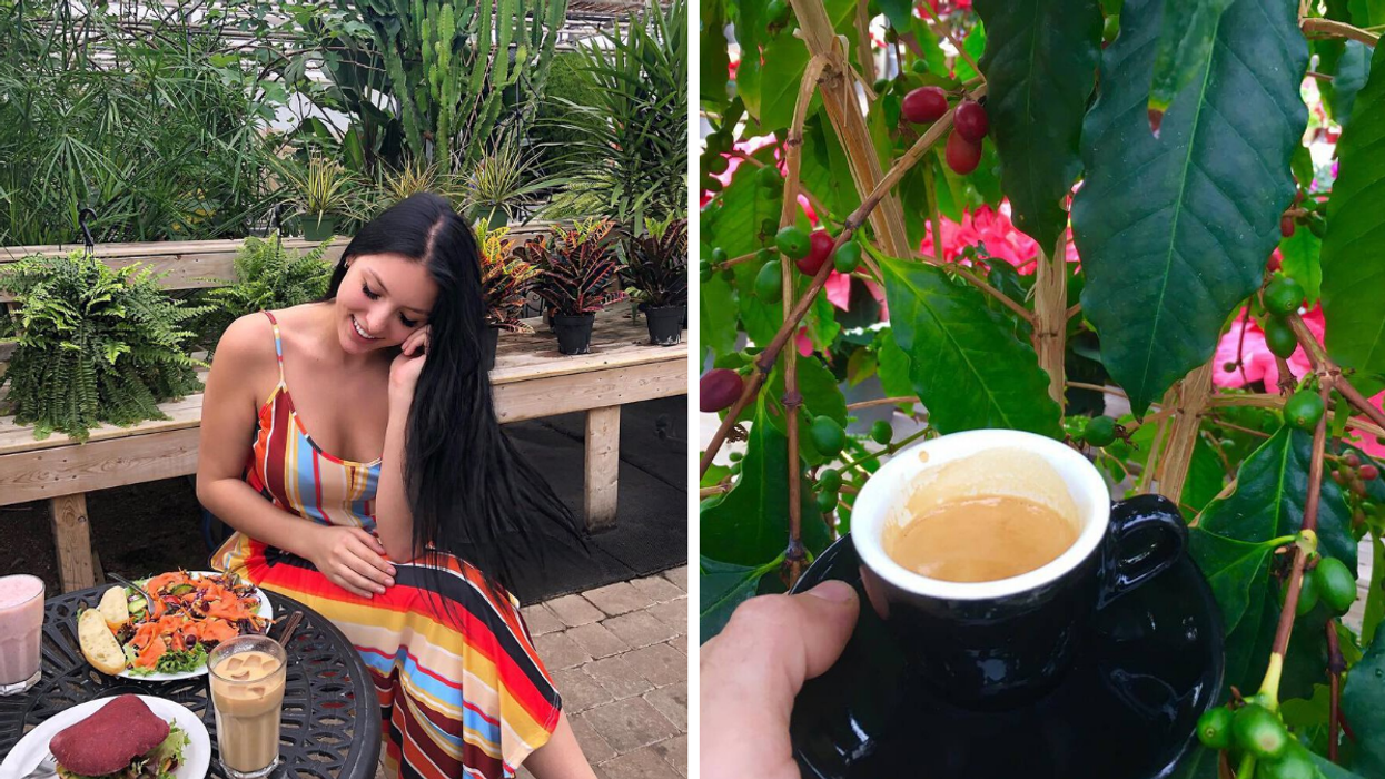 Une personne qui dejeune au Rose Café à Drummondville. Droite : Un café devant une plante au Rose Café à Drummondville