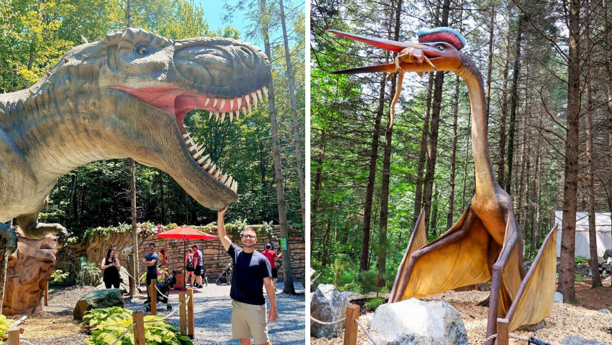 Une personne qui pose devant un dinosaure de Woodooliparc. Droite : Un dinosaure de Woodooliparc.
