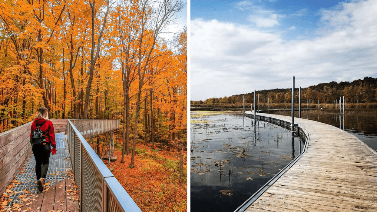 Une personne sur une passerelle. Droite : Une passerelle sur l'eau.