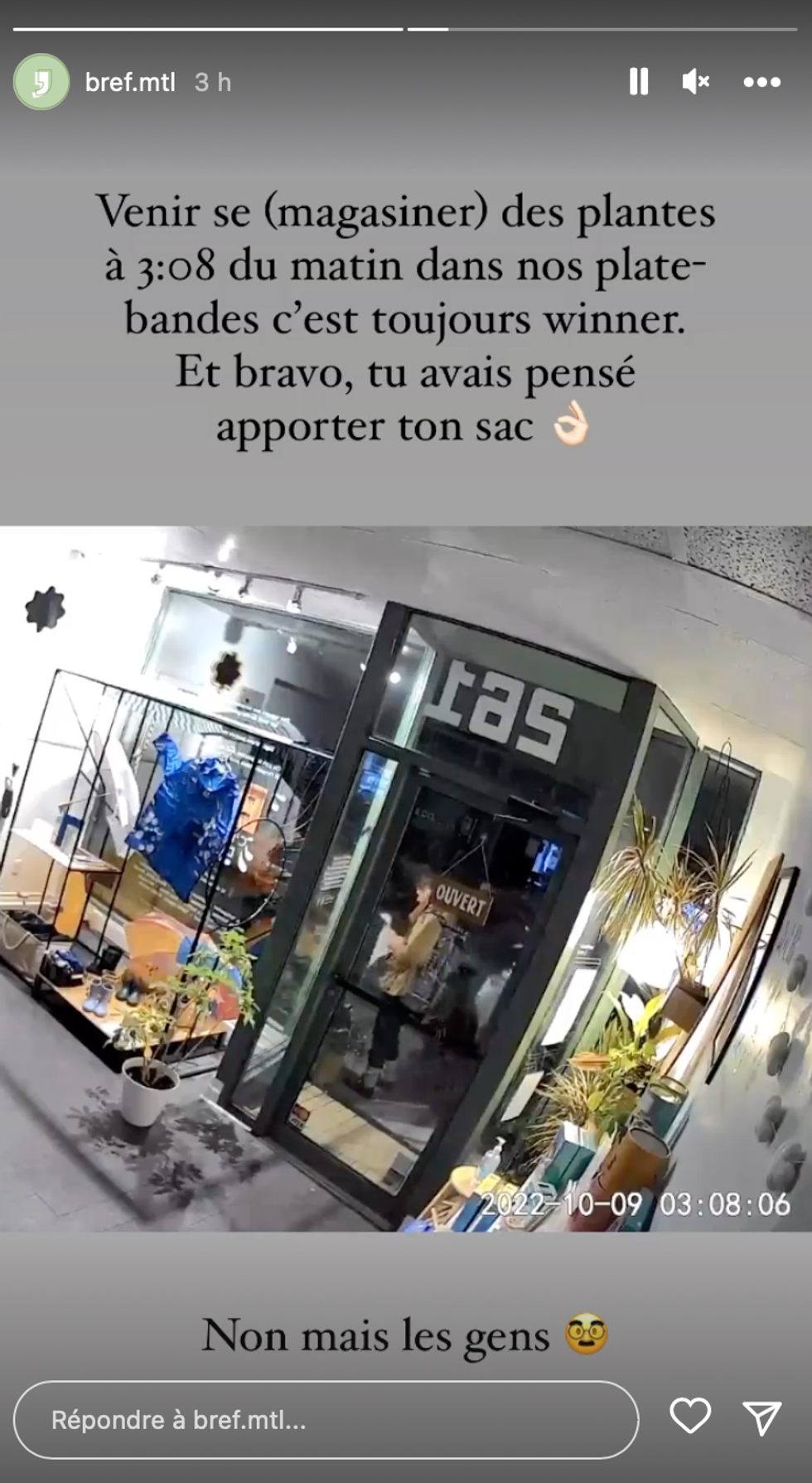 Une personne venue d\u00e9rober une plante.