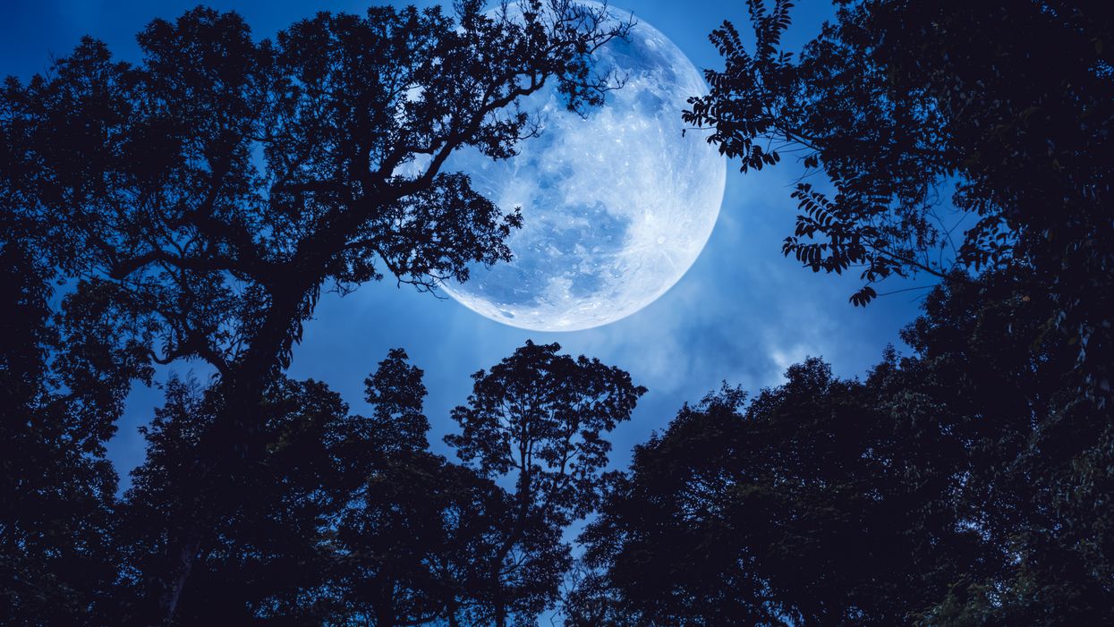 Une pleine lune bleue brillera le soir de l'Halloween 2020 au Québec