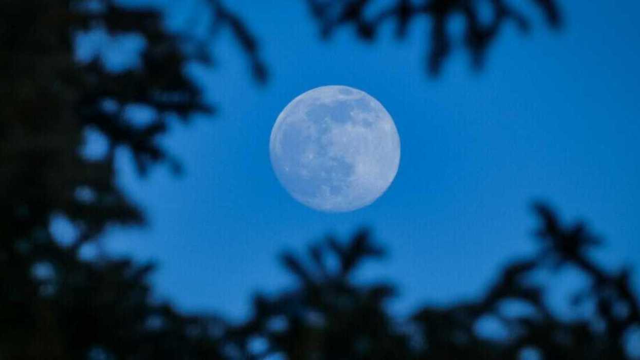 Une pleine lune.