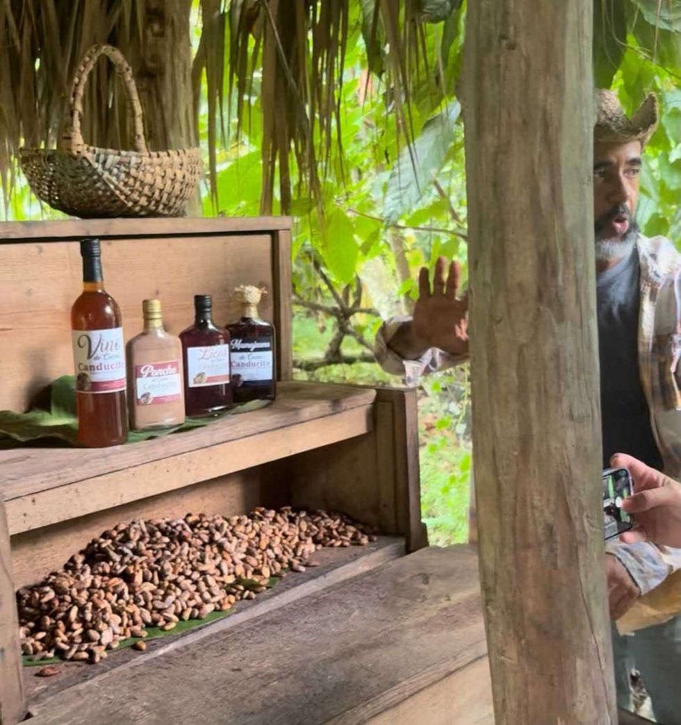 Une pr\u00e9sentation des alcools faits avec le cacao.